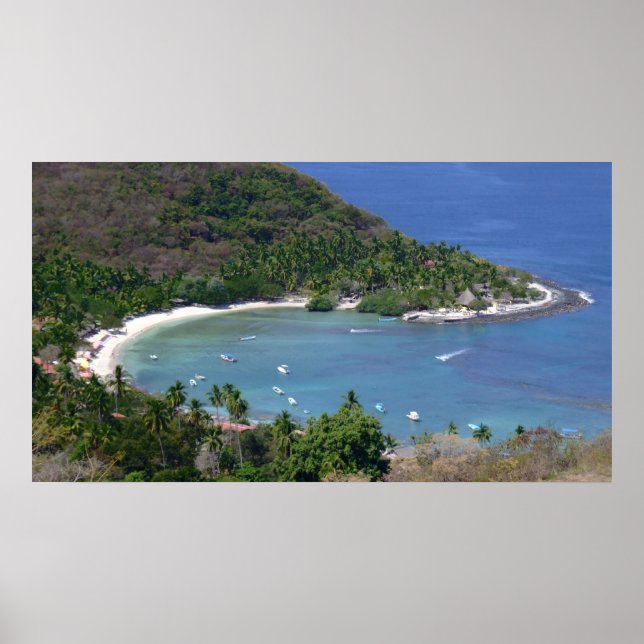 LAS GATAS POSTER (Vorne)