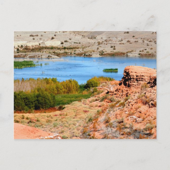 Las Vegas Bay, Lake Mead, Nevada Postkarte (Vorderseite)
