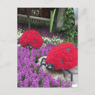 Las Vegas Butterfly Garden Blume Ladybug UNIQUE G Postkarte