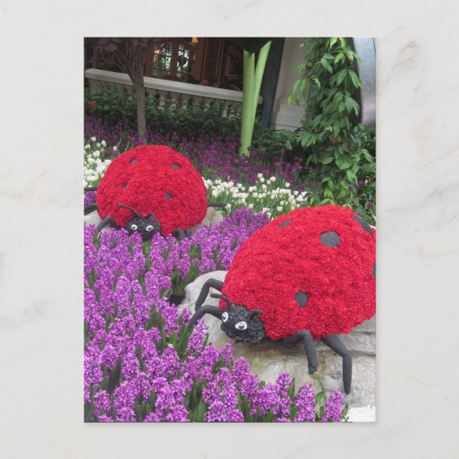 Las Vegas Butterfly Garden Blume Ladybug UNIQUE G Postkarte (Vorderseite)