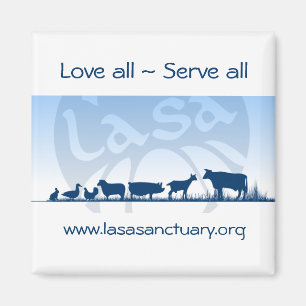 Lasa Magnet