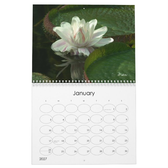 lass 2013 glänzen in kalender (Jan 2027)