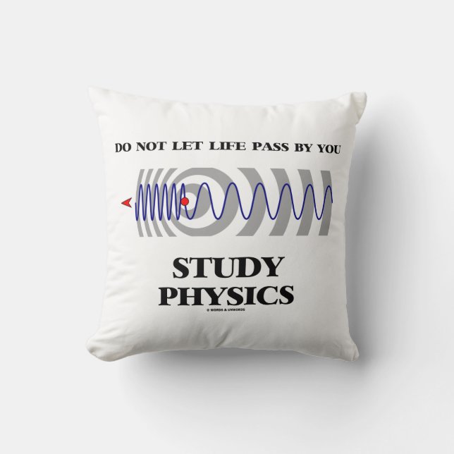 Lass das Leben nicht durch dein Studium der Physik Kissen (Vorderseite)