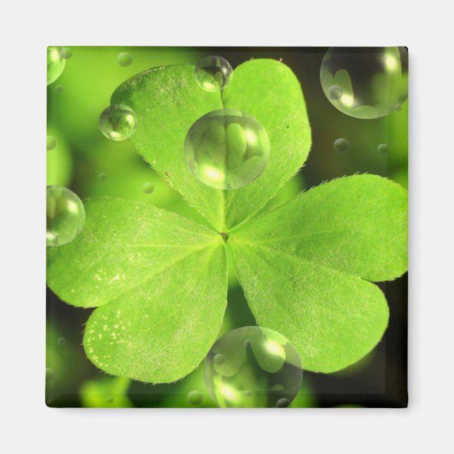 Lass dein Glück nicht aus dem Magnet. Magnet (Vorne)