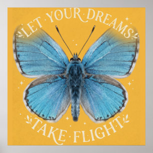 Lass deine Träume mit dem blauen Schmetterling fli Poster