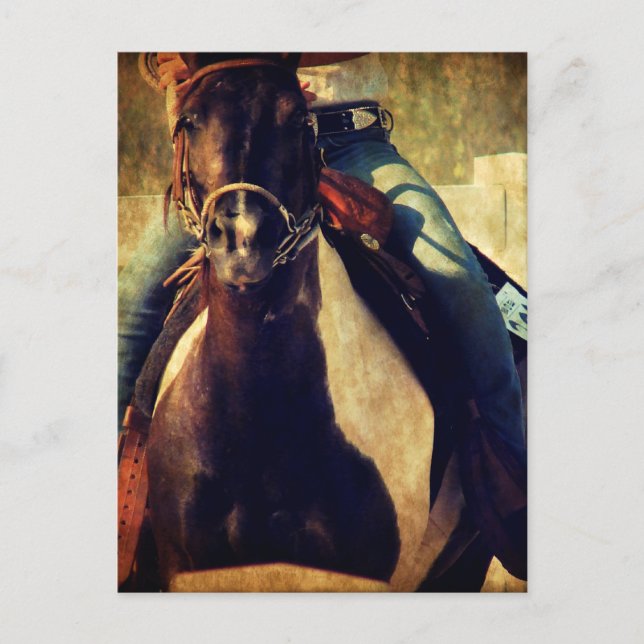 Lass dieses Pinto Pony Run Postkarte (Vorderseite)