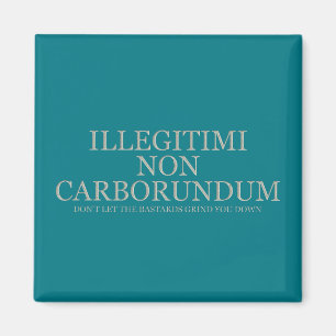 Lass dir nicht die Bastards, die dich abschleifen  Magnet