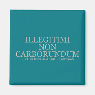 Lass dir nicht die Bastards, die dich abschleifen  Magnet