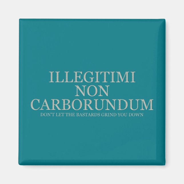 Lass dir nicht die Bastards, die dich abschleifen  Magnet (Vorne)