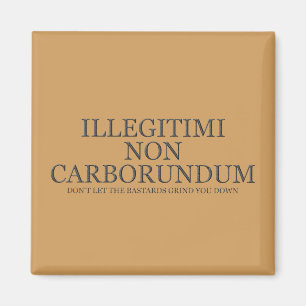 Lass dir nicht die Bastards, die dich niederreißen Magnet