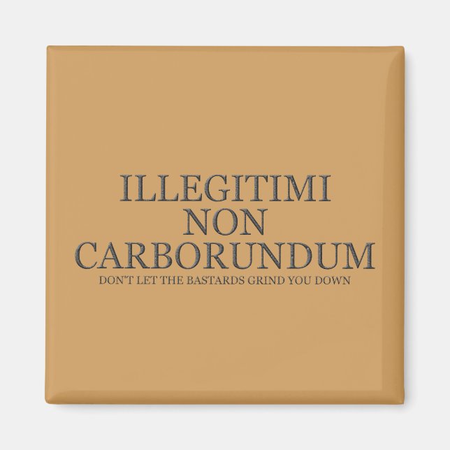 Lass dir nicht die Bastards, die dich niederreißen Magnet (Vorne)