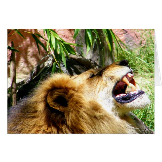 Lass es Go_ (Vorderseite (Horizontal))