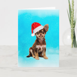Lass es Schnee Weihnachten Chihuahua Hund tragen H