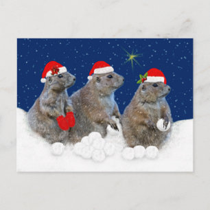 Lass es Schnee Weihnachtspostkarte Feiertagspostkarte