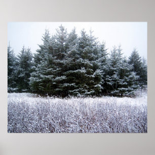 Lass es Schneebesen Poster