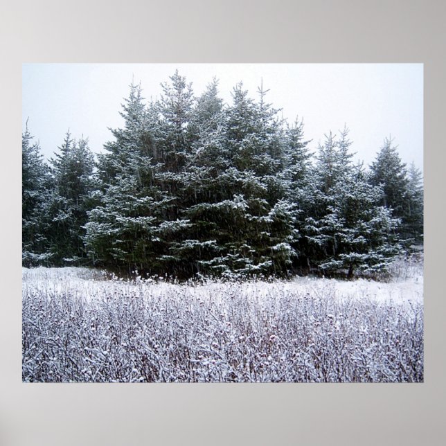 Lass es Schneebesen Poster (Vorne)