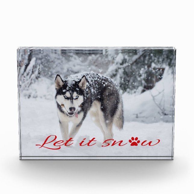 Lass es schneien fotoblock (Vorderseite)