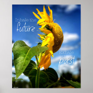 Lass Go and Looking Ahead Poster