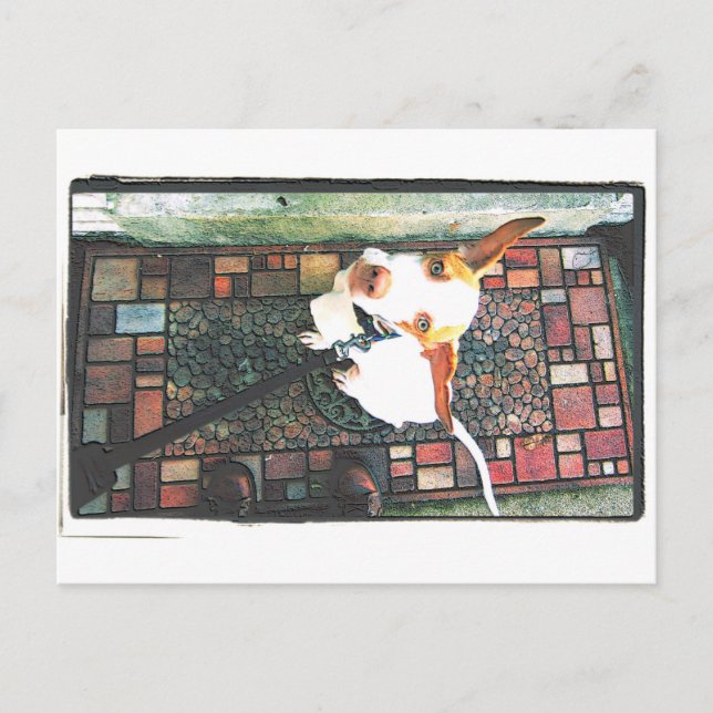 Lass mich ein postkarte (Vorderseite)