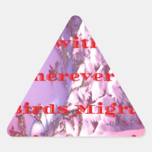 Lass mich mit dir zum Valentinstag fliegen.png Dreieckiger Aufkleber