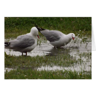 Lass mich nicht plappern!