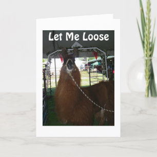 LASS MIR LOOSE, GLÜCKLICH GEBURTSTAG ZU SAGEN KARTE