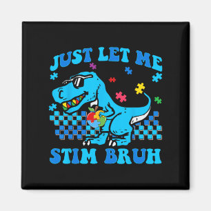 Lass mir Stim Bro Autismus Bewusstsein Dinosaurier Magnet