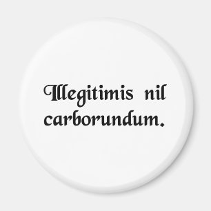 Lass nicht die Bastarde, die dich niederreißen. Magnet