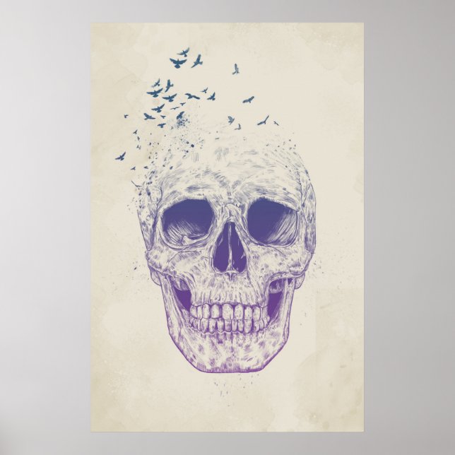 Lass sie fliegen poster (Vorne)