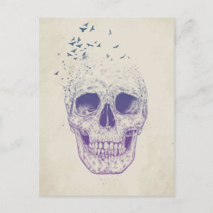 Lass sie fliegen postkarte