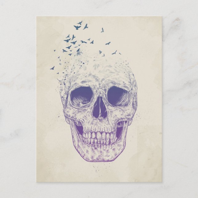 Lass sie fliegen postkarte (Vorderseite)