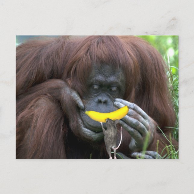 Lass uns als Freunde! Postkarte (Vorderseite)