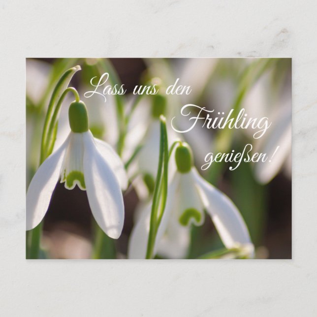 Lass uns die Frühling genießen! Postkarte (Vorderseite)