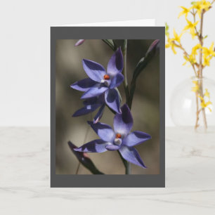 LASS UNS MEINE FREUNDKARTE ZUSAMMENBRINGEN KARTE