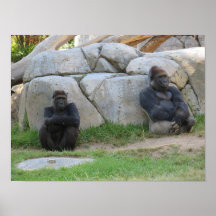 Lass uns warten und sehen