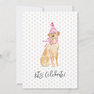 Lasse Celebrate! Golden Labrador Hundelhut