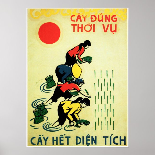 Lasse Grow Rice Vietnam Landwirtschaft Propaganda Poster (Vorne)