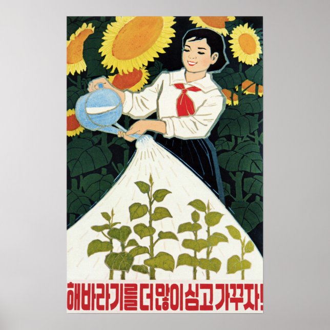 Lasse mehr Sonnenblumen wachsen! Nordkorea Landwir Poster (Vorne)