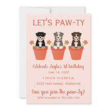Lasse Pawty Australian Shepherd Dogs