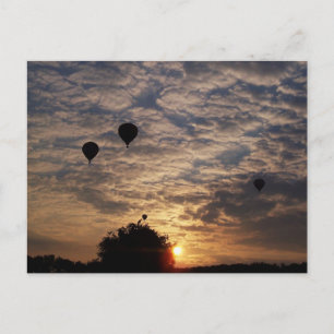 Lasse sie fliegen.... postkarte