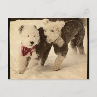 Lasse spielen! postkarte