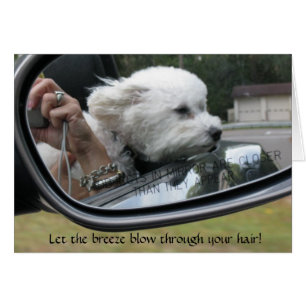 "Lassen Sie die Brise durch Ihr Haar durchbrennen