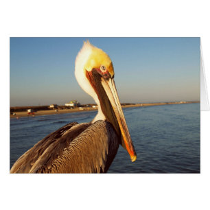 Lassen Sie mich erröten