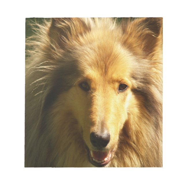 Lassie Collie Notepad Notizblock (Vorderseite)