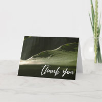 Lässige Handschrift Danke, Banana Leaf Foto