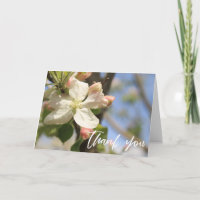 Lässige Handschrift Vielen Dank Apple Blossoms