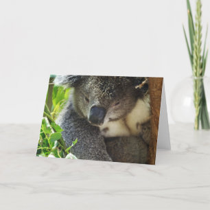 Lässige Koala Grußkarte Karte