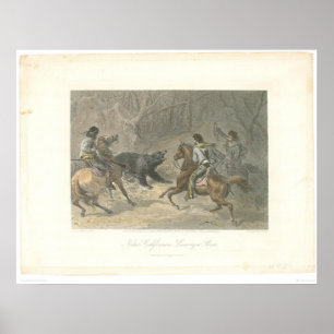 Lassoing ein Bär (1178A) Poster