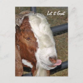 Lass's Goat, Boar Billy Postkarte