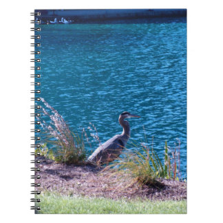 Lässt die Farben Ihr Führer sein Notizblock